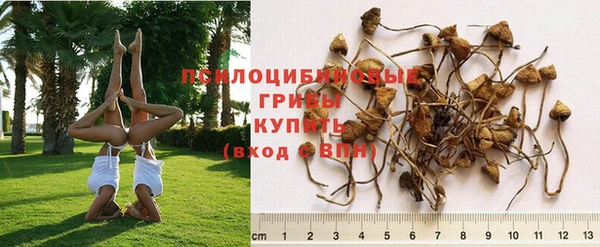 дистиллят марихуана Вязники