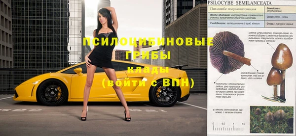 стафф Володарск