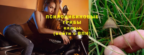 стафф Володарск