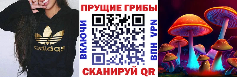 Галлюциногенные грибы прущие грибы  Купить закладки  Урюпинск 